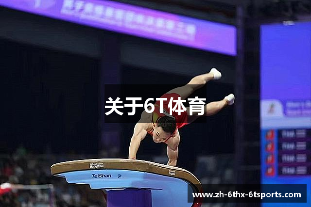 关于6T体育